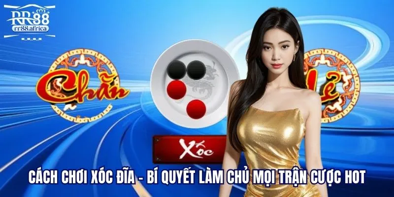 Cách Chơi Xóc Đĩa - Bí Quyết Làm Chủ Mọi Trận Cược Hot
