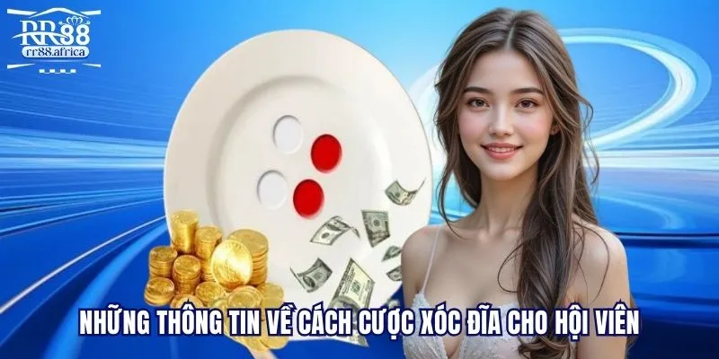 Những thông tin về cách cược xóc đĩa cho hội viên