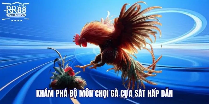 Khám phá bộ môn chọi gà cựa sắt hấp dẫn