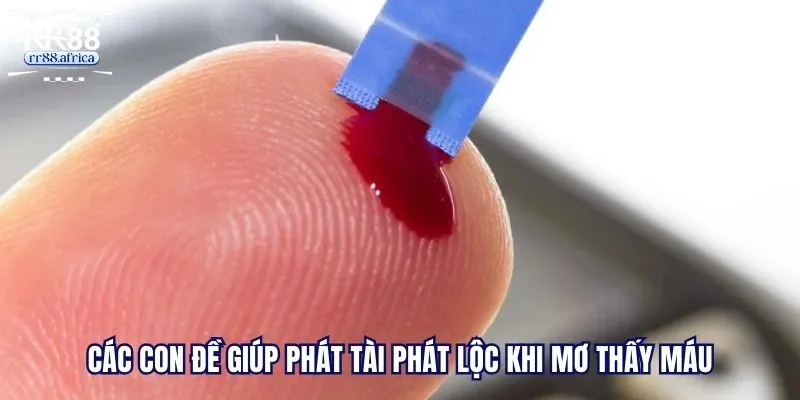 Các con số trong giải mã giấc mơ mơ thấy máu đánh con gì