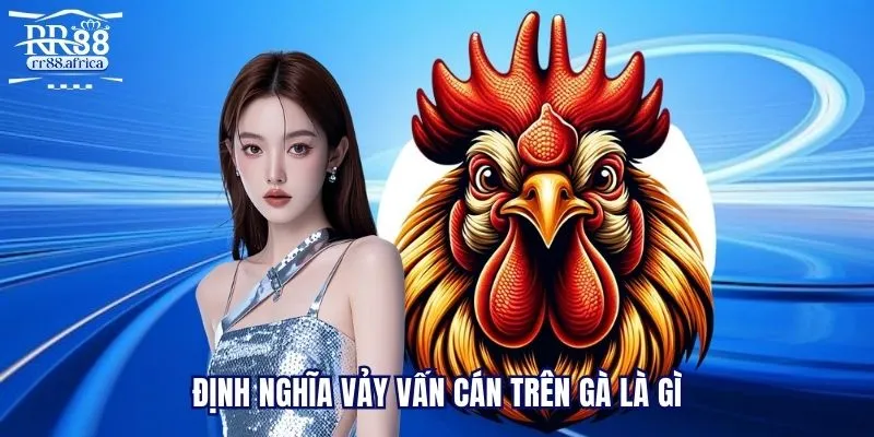 Định nghĩa vảy vấn cán trên gà là gì